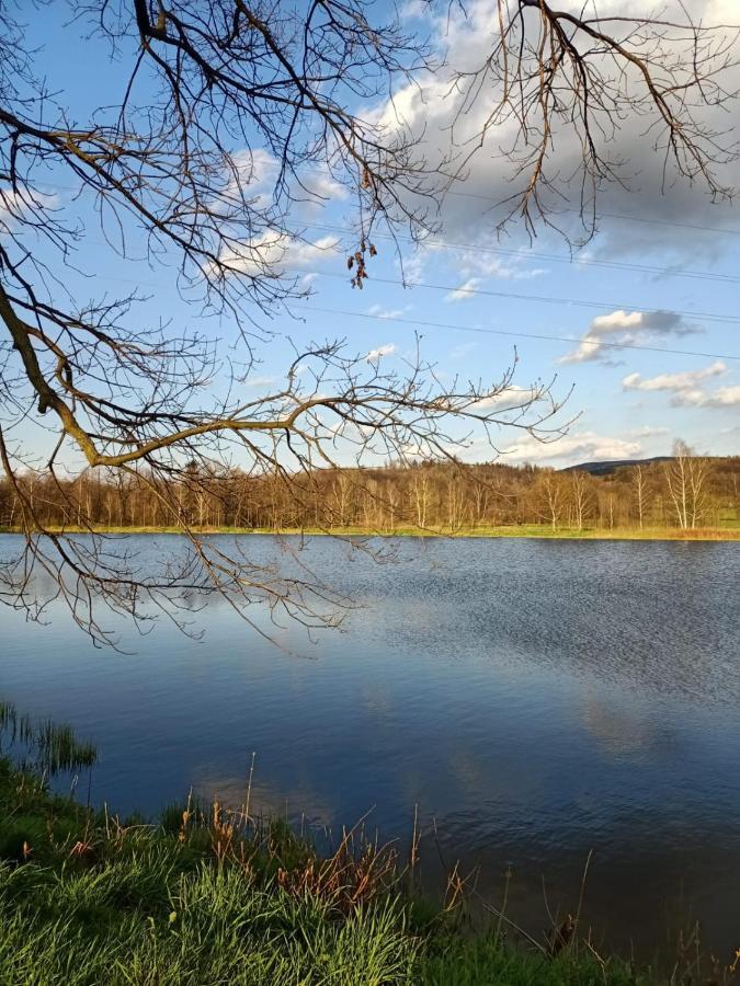 Agroturystyka Aura Kostrzyca Экстерьер фото